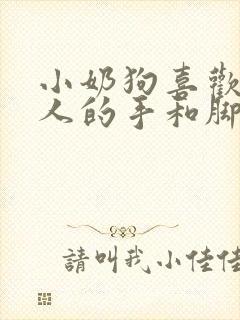 小奶狗喜欢咬主人的手和脚怎么办