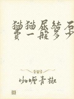 猫猫尿结石手术费一般多少钱