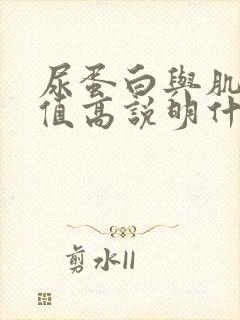 尿蛋白与肌酐比值高说明什么