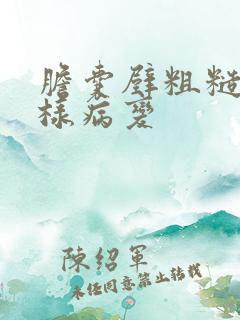 胆囊壁粗糙息肉样病变