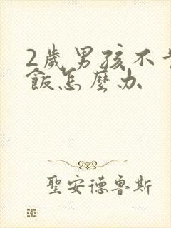 2岁男孩不肯吃饭怎么办