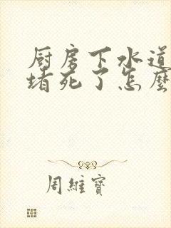 厨房下水道完全堵死了怎么办