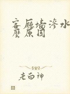 客厅墙渗水是什么原因