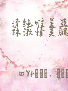 清纯唯美亚洲丝袜激情美腿