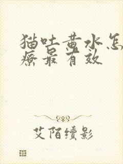 猫吐黄水怎么治疗最有效