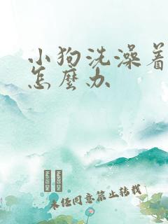 小狗洗澡着凉了怎么办