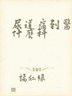 尿道痛到医院挂什么科