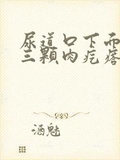 尿道口下面有两三颗肉疙瘩