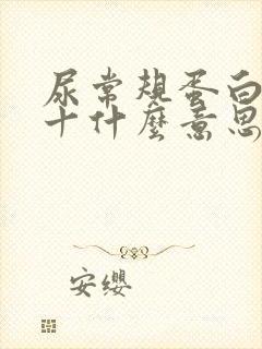 尿常规蛋白质1十什么意思