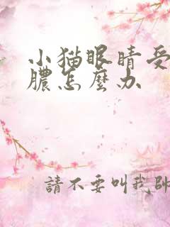 小猫眼睛受伤流脓怎么办