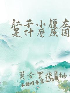 肚子小腹左边疼是什么原因