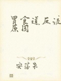 胃食道反流什么原因