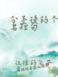 分手后的个性签名短句