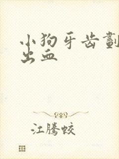 小狗牙齿划伤皮出血