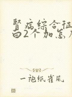 肾病综合征尿蛋白2个加怎么治疗