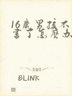 16岁男孩不读书了怎么办