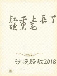 肚子上长了一根硬黑毛