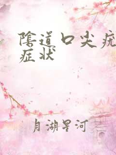 阴道口尖疣湿锐症状