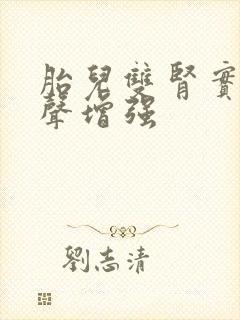 胎儿双肾实质回声增强