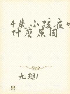 4岁小孩夜咳是什么原因