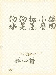 狗狗细小总想喝水是怎么回事