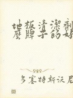 地板清洁剂买什么牌子的好