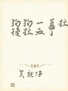 狗狗一直拉稀然后拉血了