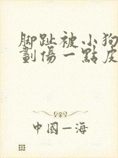 脚趾被小狗牙齿划伤一点皮出血有事吗