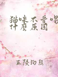 猫咪不爱喝水是什么原因