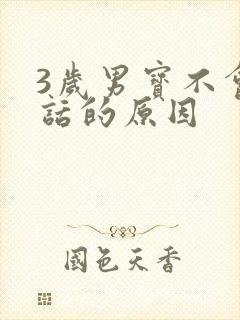 3岁男宝不会说话的原因