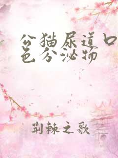 公猫尿道口有黄色分泌物