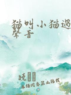 猫叫小猫过来的声音