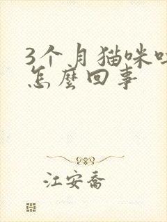 3个月猫咪吐了怎么回事