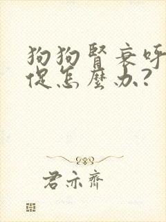 狗狗肾衰呼吸急促怎么办?