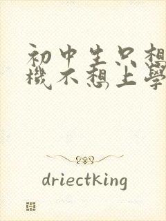 初中生只想玩手机不想上学怎么办