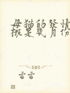 母猫的发情期大概是几月份