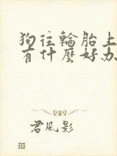 狗往轮胎上撒尿有什么好办法