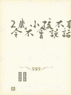 2岁小孩不听指令不会说话怎么办