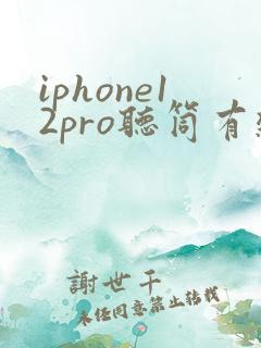 iphone12pro听筒有杂音滋滋