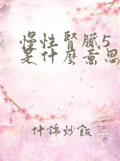 慢性肾脏5 期是什么意思