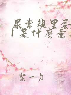 尿常规里蛋白质1 是什么意思