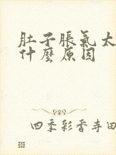 肚子胀气太多是什么原因