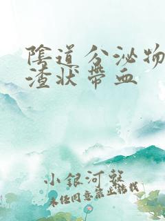 阴道分泌物豆腐渣状带血