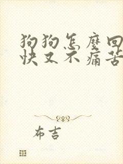 狗狗怎么回奶最快又不痛苦