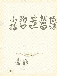 小狗突然倒地抽搐口吐白沫