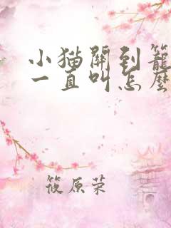 小猫关到笼子里一直叫怎么办