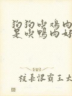 狗狗吃鸡肉好还是吃鸭肉好