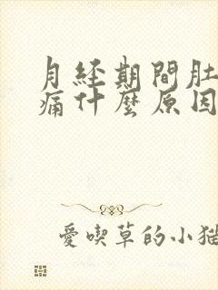 月经期间肚子很痛什么原因