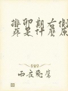 排卵期右侧小腹疼是什么原因女性