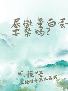 尿微量白蛋白高要紧吗?